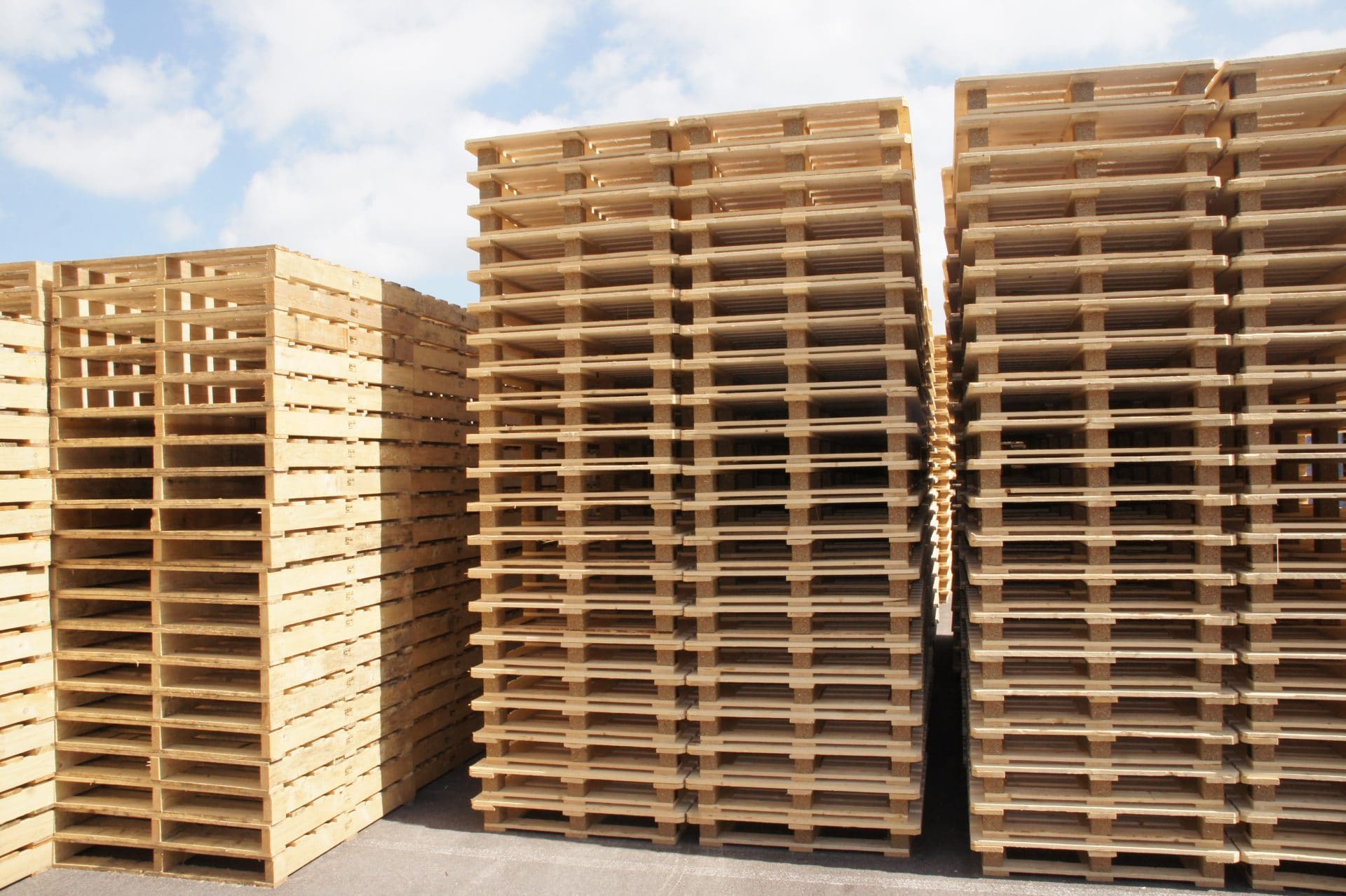 Goedkope, nieuwe, pallets,