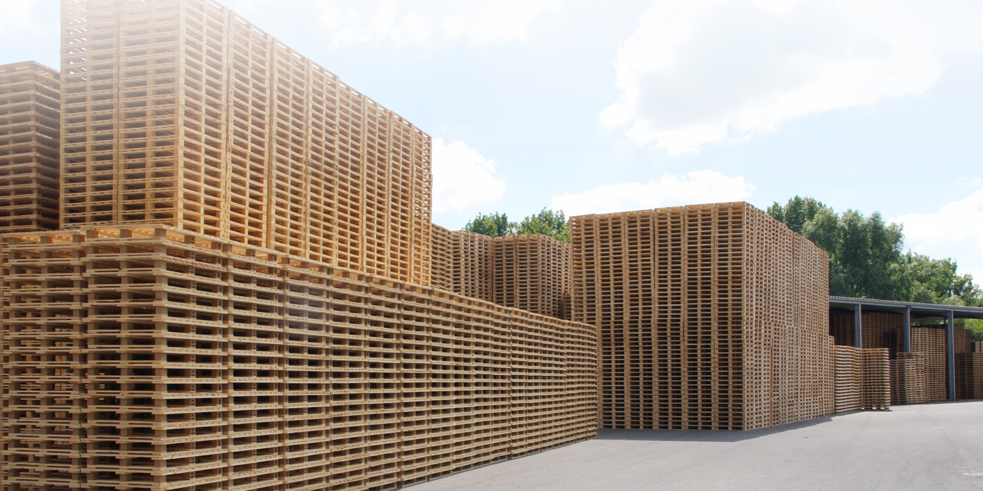 Houten pallets kopen