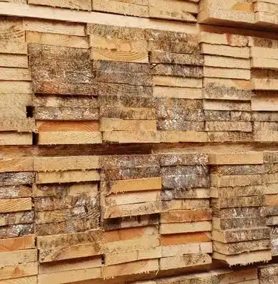 SchimmelHoutenplanken met schimmel