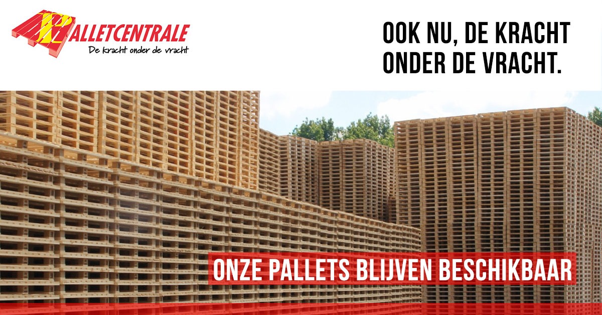 pallets blijvend