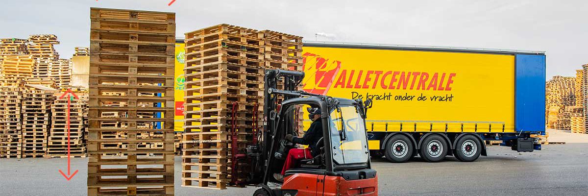 pallet afmetingen