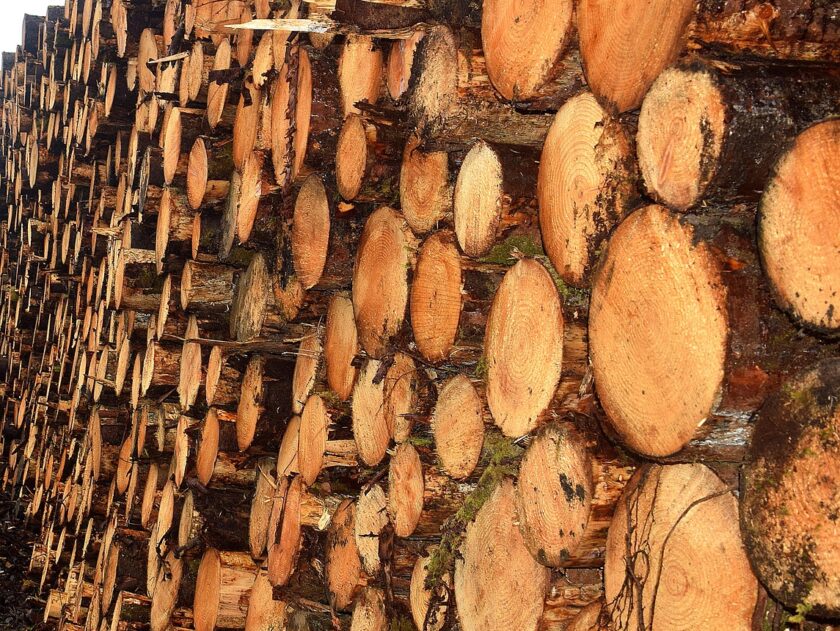 duurzaamheid blijft meetbaar in 2026