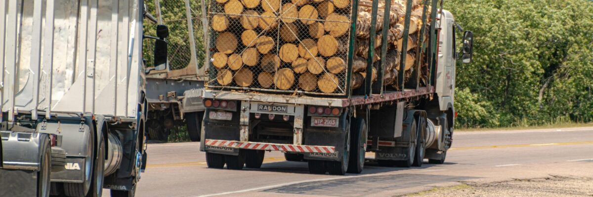 nieuwe wetgeving pallets 2026