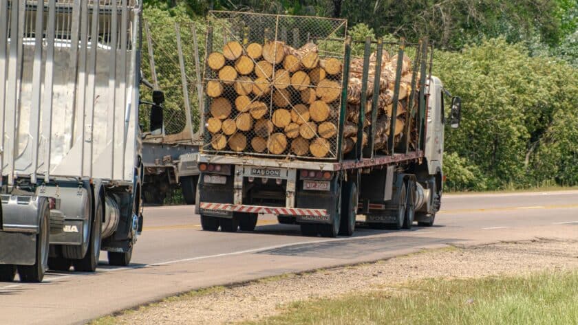 nieuwe wetgeving pallets 2026
